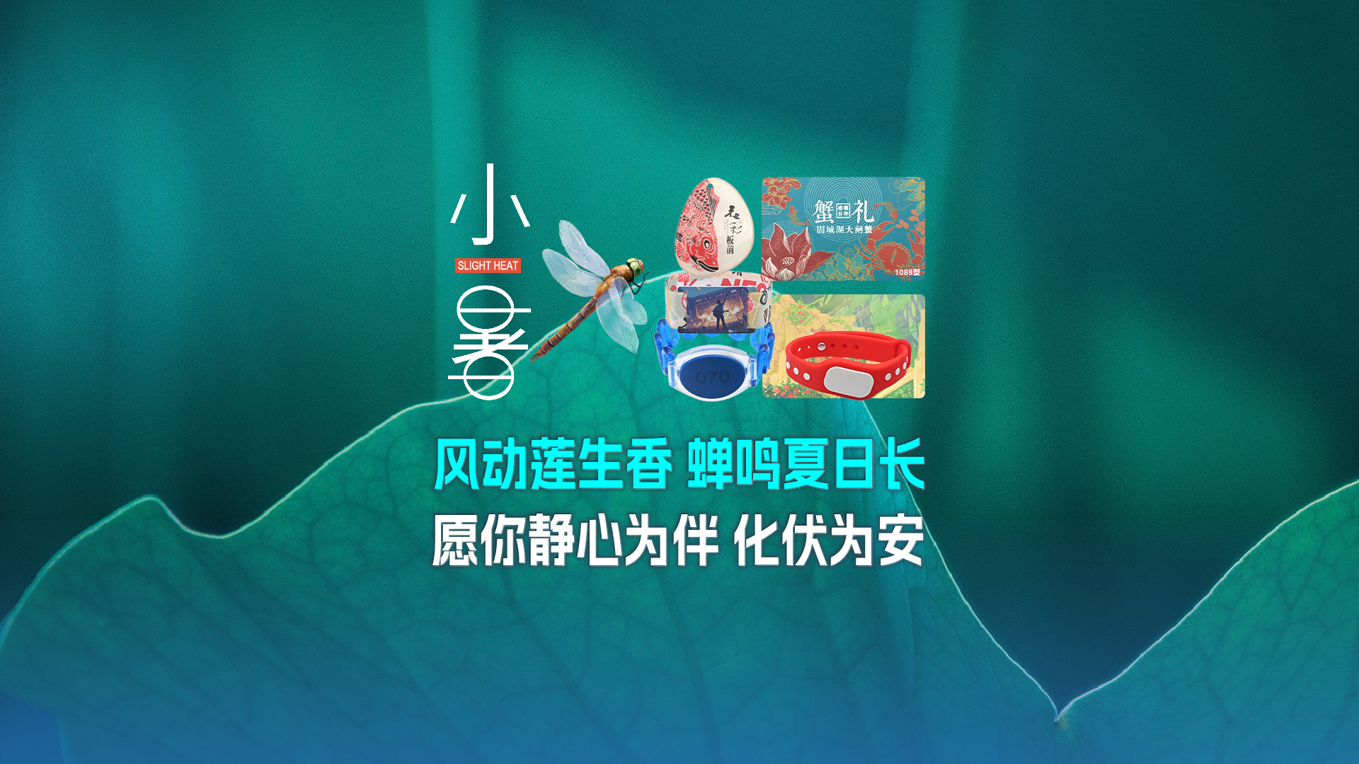 小暑至，卡立方集團(tuán)RFID物聯(lián)網(wǎng)產(chǎn)品熱度攀升