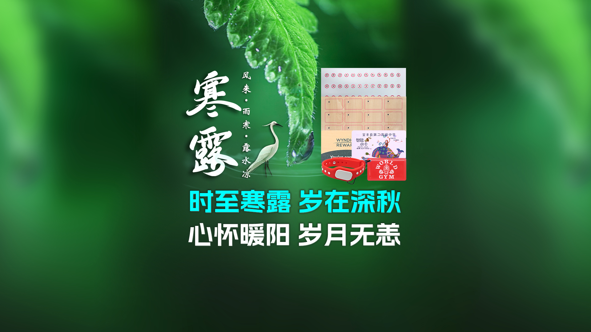 寒露至秋意濃，卡立方集團攜RFID智能卡中料木卡腕帶伴您暖度深秋